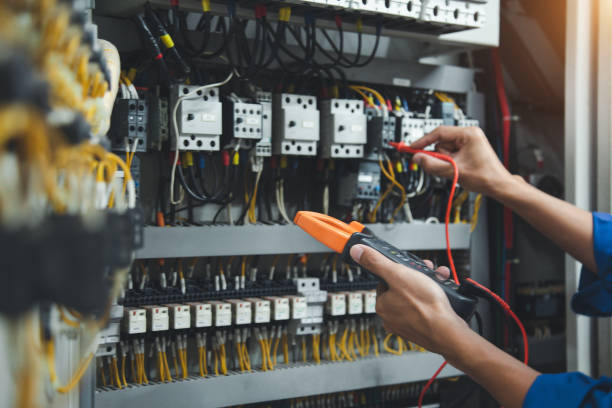 Best Electric Panel Repair  in Mentor On The Lake, OH